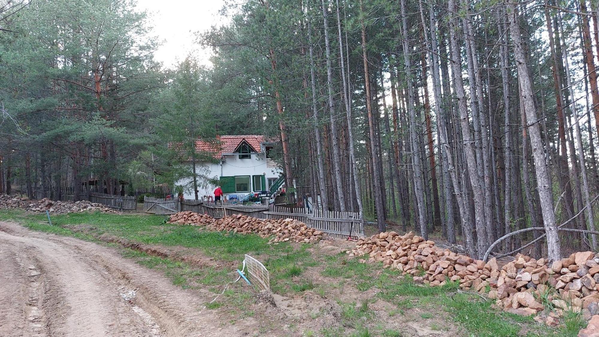 Forest Villa Atlantic Berovo Exterior photo