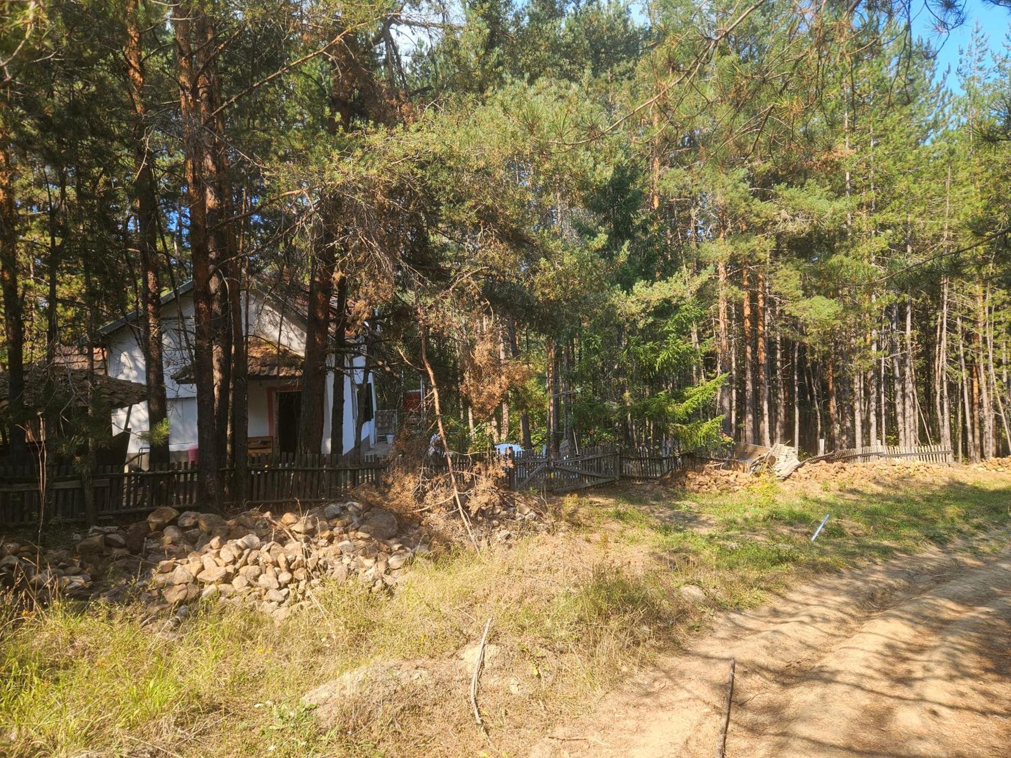 Forest Villa Atlantic Berovo Exterior photo